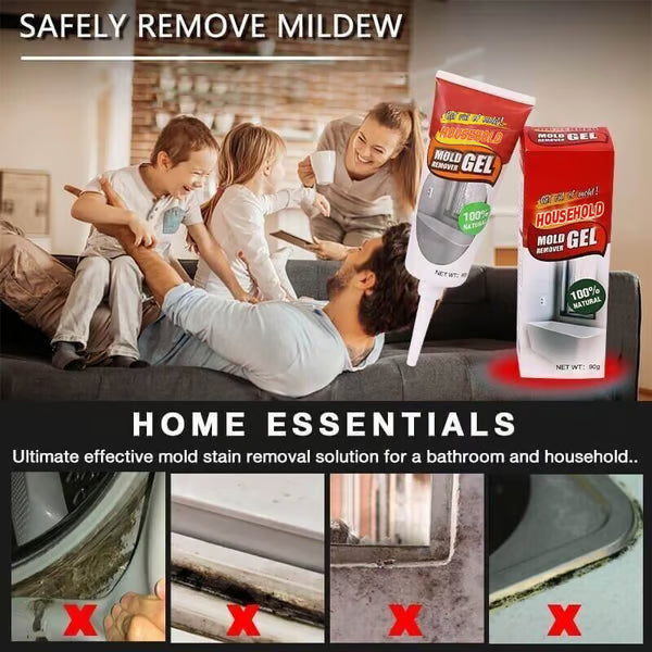 90g Mold Remover Gel